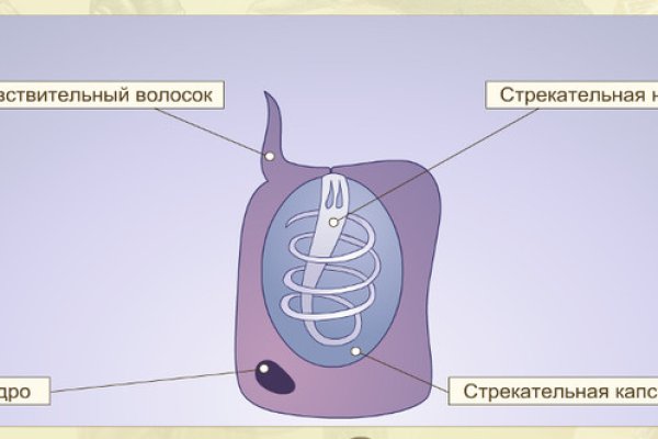 Кракен даркнет официальный сайт