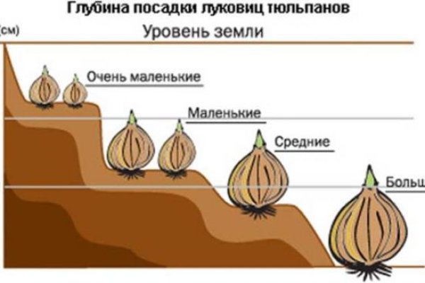 Ошибка на сервере кракен