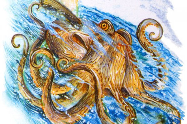Kraken россия