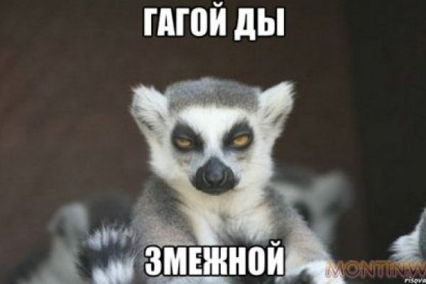 Сайт кракен онион